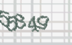 CAPTCHA image for SPAM prevention 