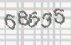 CAPTCHA image for SPAM prevention 
